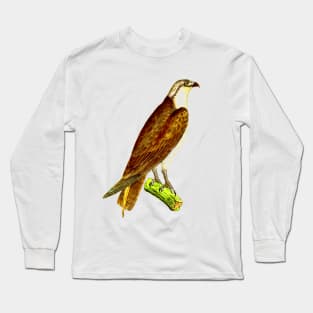 hawk,bald eagle,falcon,golden eagle,birdie,bird Long Sleeve T-Shirt